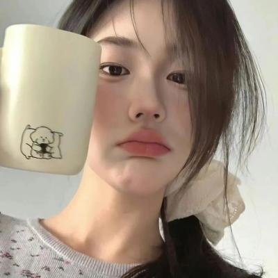 极地熊踪